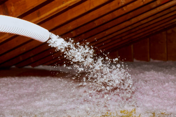Best Eco-Friendly Insulation in Warrensburg, MO