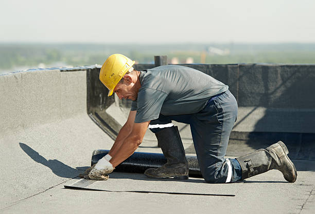 Best DIY Insulation Kits and Guidance in Warrensburg, MO