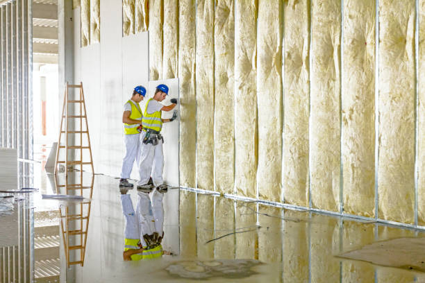 Best Energy Efficiency Insulation in Warrensburg, MO